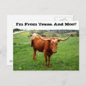 Texas Longhorn mit lustigem Texas-Sprichwort Postkarte (Vorne/Hinten)