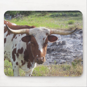 Texas Longhorn Mousepad