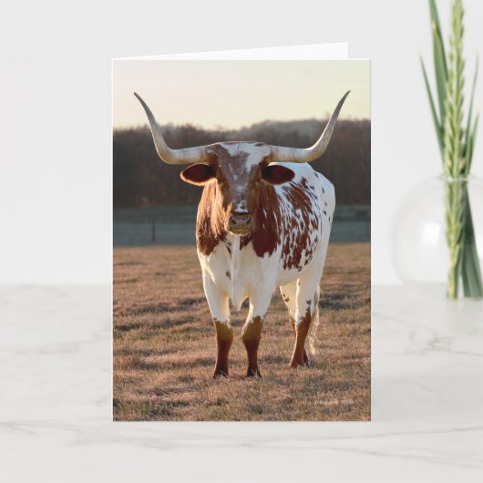 Texas Longhorn Note Card Karte (Vorderseite)