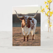 Texas Longhorn Note Card Karte (Gelbe Blume)