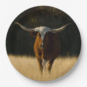 Texas Longhorn Paper Teller
