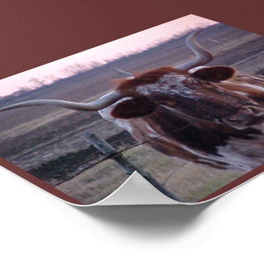 Texas Longhorn Poster (Ecke)
