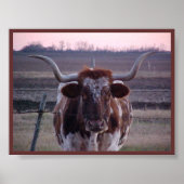 Texas Longhorn Poster (Vorne)