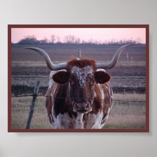 Texas Longhorn Poster (Vorne)