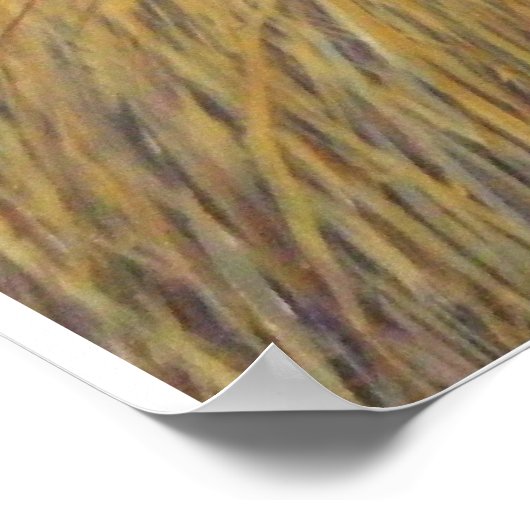 Texas Longhorn Poster (Ecke)