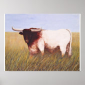 Texas Longhorn Poster (Vorne)