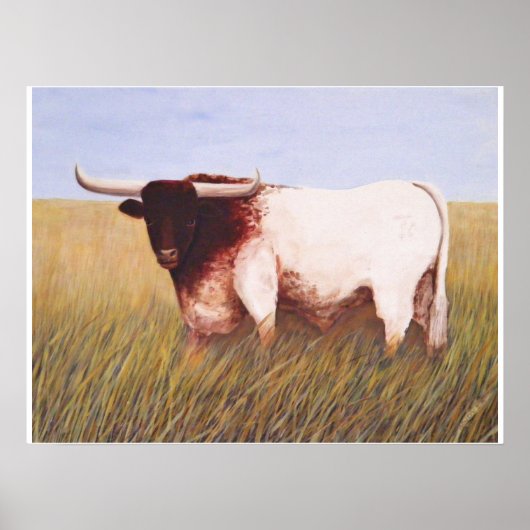 Texas Longhorn Poster (Vorne)