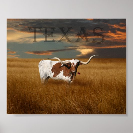 Texas Longhorn Poster (Vorne)