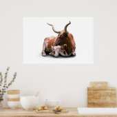 Texas Longhorn Poster Print (Küche)