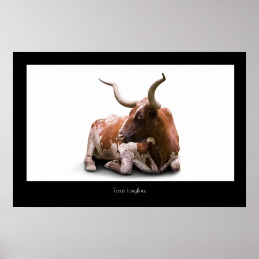 Texas Longhorn Poster Print (Vorne)