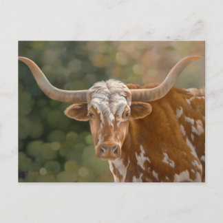 Texas Longhorn Postkarte