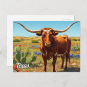 Texas longhorn postkarte (Vorne/Hinten)