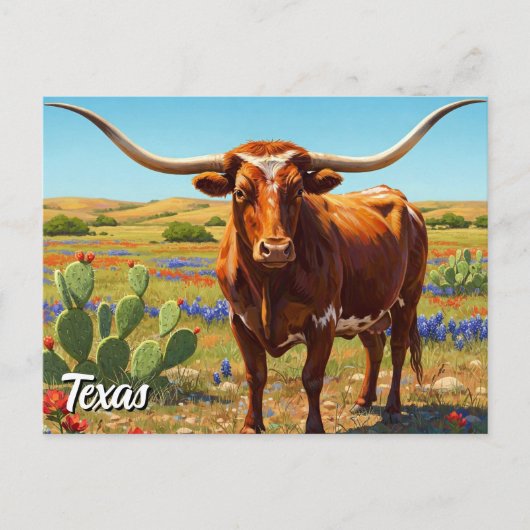 Texas longhorn postkarte (Vorderseite)