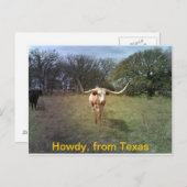 Texas Longhorn - Postkarte (Vorne/Hinten)
