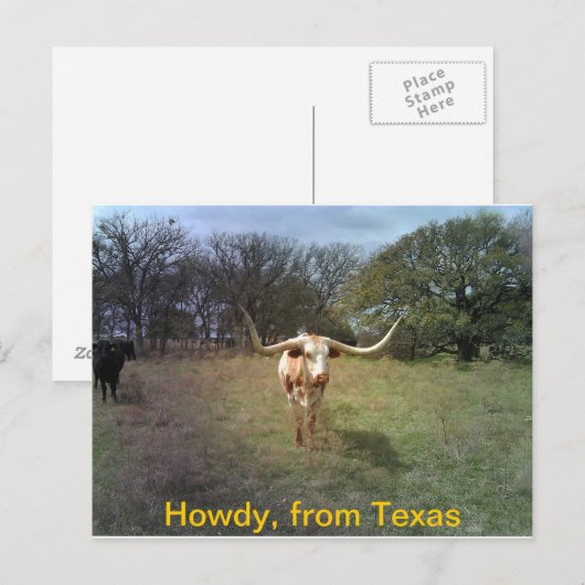Texas Longhorn - Postkarte (Vorne/Hinten)