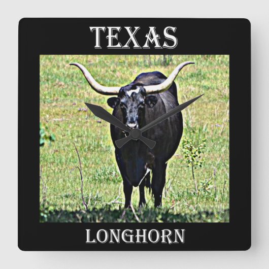 Texas Longhorn Quadratische Wanduhr (Vorderseite)