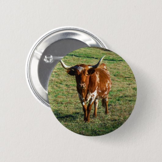 Texas Longhorn Rind Kuh Foto Rustikal Button (Vorne & Hinten)