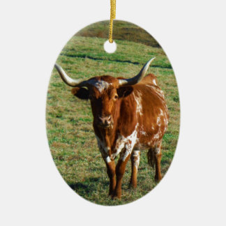 Texas Longhorn Rind Kuh Foto Rustikal Keramik Ornament
