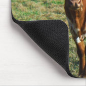 Texas Longhorn Rind Kuh Foto Rustikal Mousepad (Ecke)
