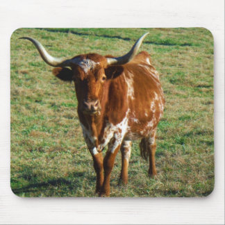 Texas Longhorn Rind Kuh Foto Rustikal Mousepad