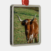 Texas Longhorn Rind Kuh Foto Rustikal Ornament Aus Metall (Rechts)