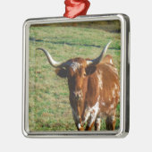Texas Longhorn Rind Kuh Foto Rustikal Ornament Aus Metall (Links)