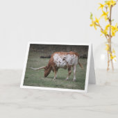 Texas Longhorn Rind Weiden Karte (Gelbe Blume)