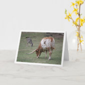 Texas Longhorn Rind Weiden Karte (Gelbe Blume)