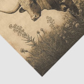 Texas Longhorn Seidenpapier (Ausschnitt)