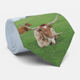 Texas Longhorn steuern im Felddruck auf Necktie Krawatte