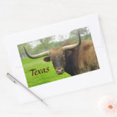 Texas Longhorn "Texas" Aufkleber (Umschlag)
