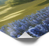 Texas Longhorn Wall Art Glossy Poster (Ecke)