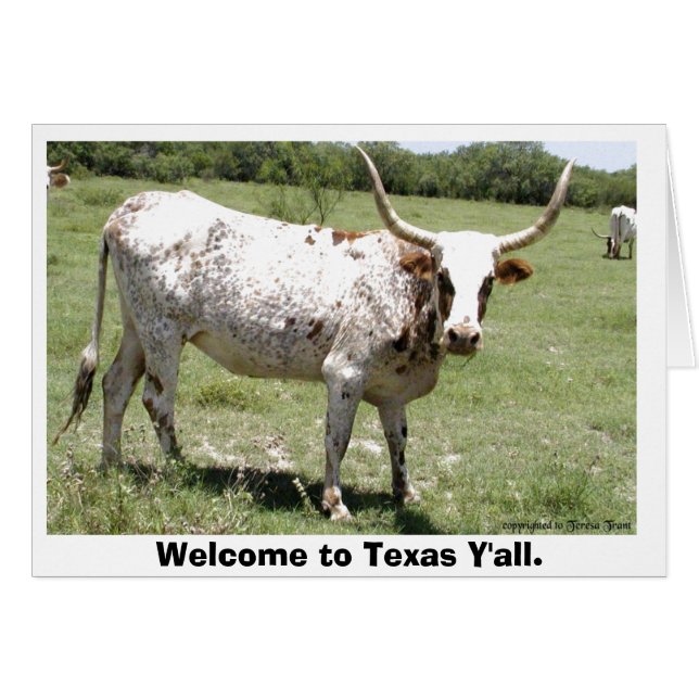 Texas Longhorn, Willkommen in Texas Y'all. (Vorderseite (Horizontal))