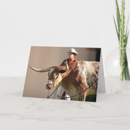 Texas Longhorns Post Card Karte (Vorderseite)