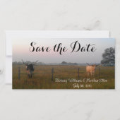 Texas Longhorns Save the Date Karte (Vorderseite)