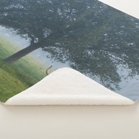 TEXAS LONGHORNS SHERPADECKE (3/4)