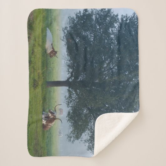 TEXAS LONGHORNS SHERPADECKE (Vorderseite)