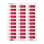 Texas Longhorns und die Flagge auf einer Rücksende (Vorne)