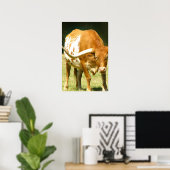 Texas Longhorup Nahes Poster (Heimbüro)