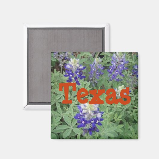 Texas Magnet (Vorderseite/Rückseite)