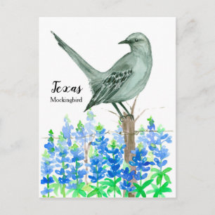 Texas Mockingbird Bluebonnet Wasserfarbe Postkarte
