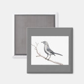 Texas Mockingbird Magnet (Vorderseite/Rückseite)