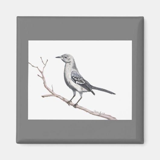 Texas Mockingbird Magnet (Vorne)