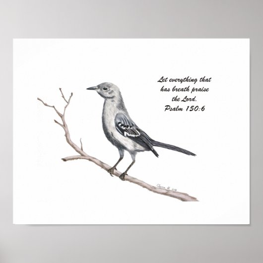 Texas Mockingbird Print Poster (Vorne)