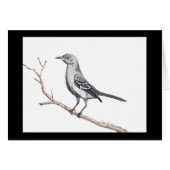 Texas Mockingbird Small Card (Vorderseite (Horizontal))