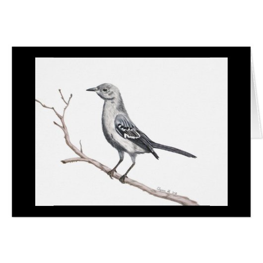 Texas Mockingbird Small Card (Vorderseite (Horizontal))
