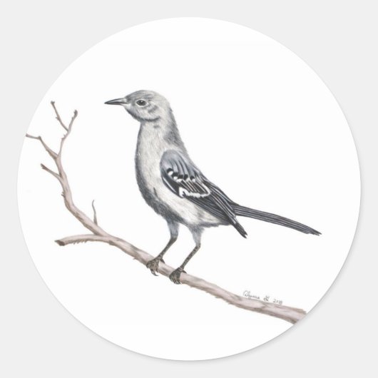 Texas Mockingbird Sticker (Vorderseite)