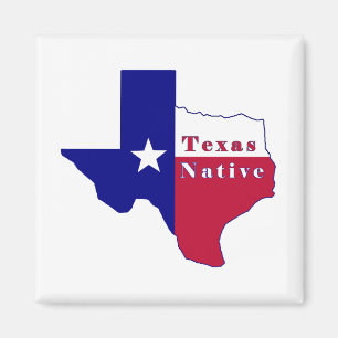 Texas National Flag Map Magnet