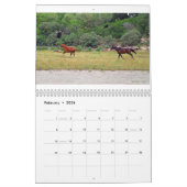 Texas natürliche Schönheit 2011 Kalender (Feb 2026)