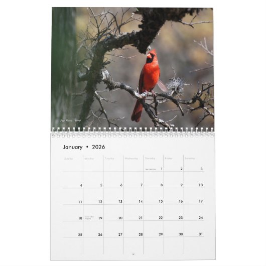 Texas natürliche Schönheit 2011 Kalender (Jan 2026)